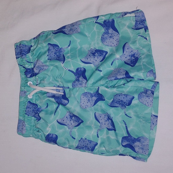 Place Sport Other - Place Sport Blue Stingray Swim Trunks